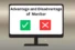 Advantage and Disadvantage of Computer Monitor You Must Know