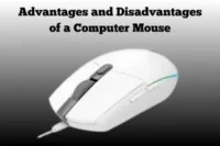 Advantages and Disadvantages of a Computer Mouse You Must Know