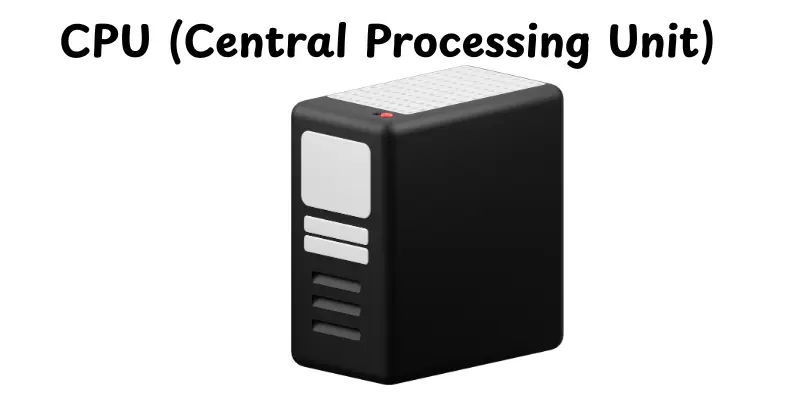 Central Processing Unit