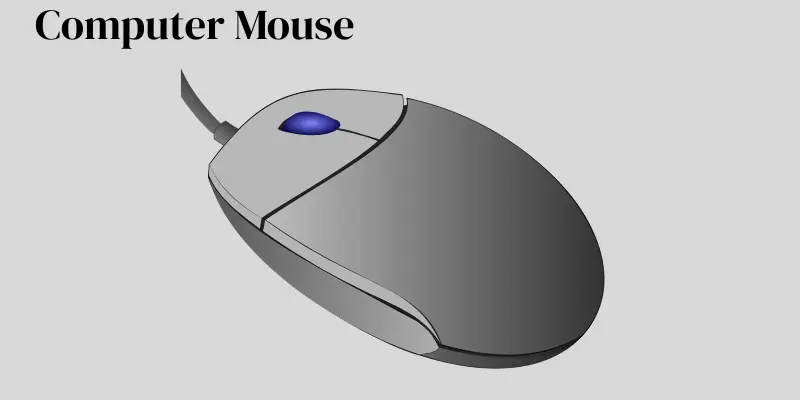 computer mouse