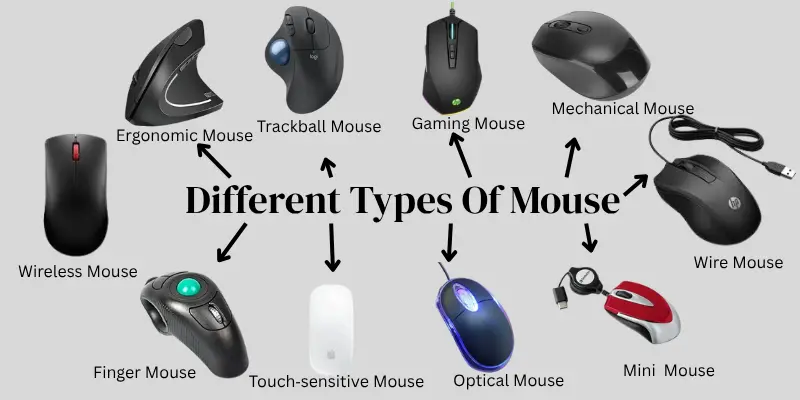 Different types of mouse