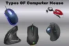 All Types of Computer Mouse: Beginner Friendly Guide - Post Thumbnail