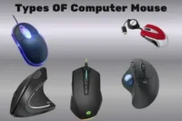 All Types of Computer Mouse: Beginner Friendly Guide