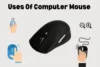 Everyday Uses of Computer Mouse for Work and Play - Post Thumbnail