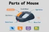 Parts of Mouse: A Complete Guide for Beginners - Post Thumbnail