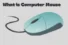 What Is a Computer Mouse? Parts, Types & Uses Explained